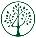 Four Oaks tree